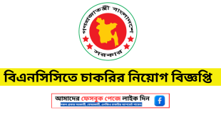 BNCC Job Circular 2024